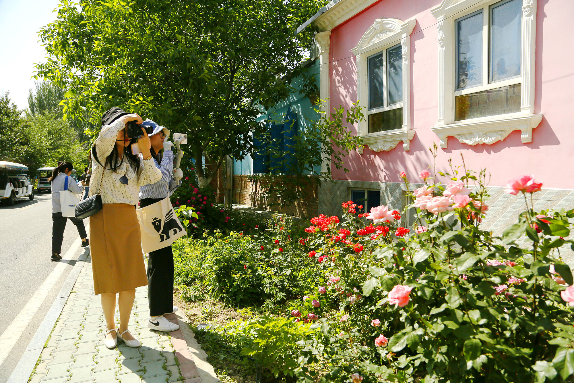 伊宁市六星街民居被绿树红花簇拥。（摄影：史恭敬）