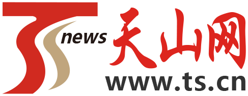 天山网检索