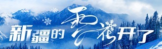 新疆的雪花开了