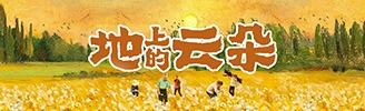 地上的云朵