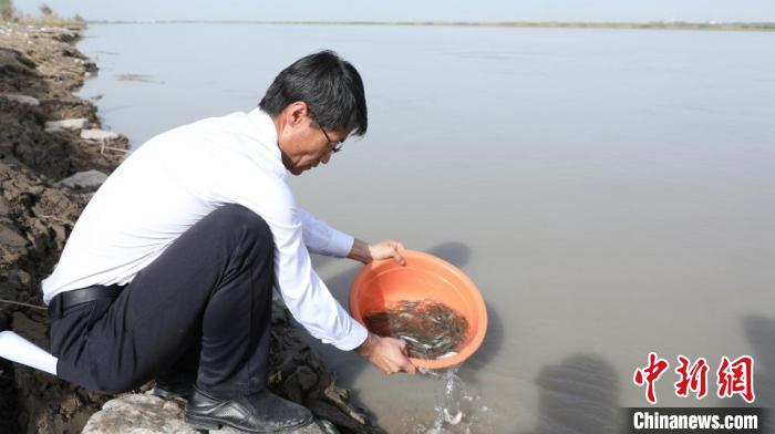 放流旨在进一步修复塔里木河生态。　潘许 摄