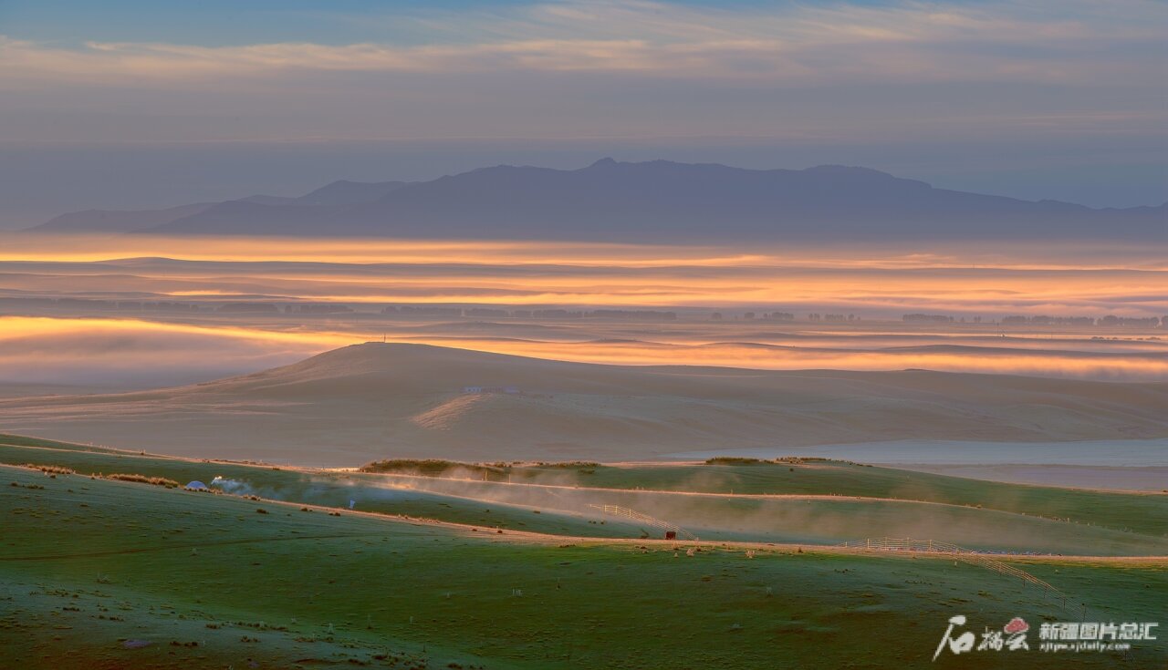 夏日牧场美景如画(图2)