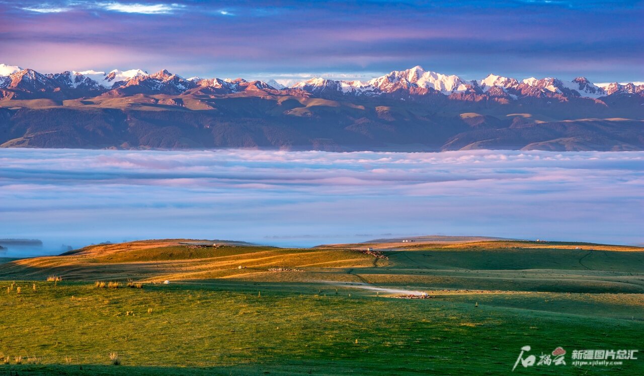夏日牧场美景如画(图4)