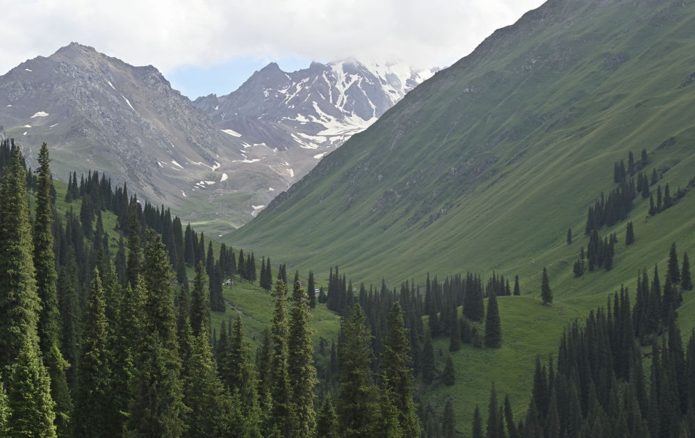 这是6月28日拍摄的那拉提旅游风景区景色。