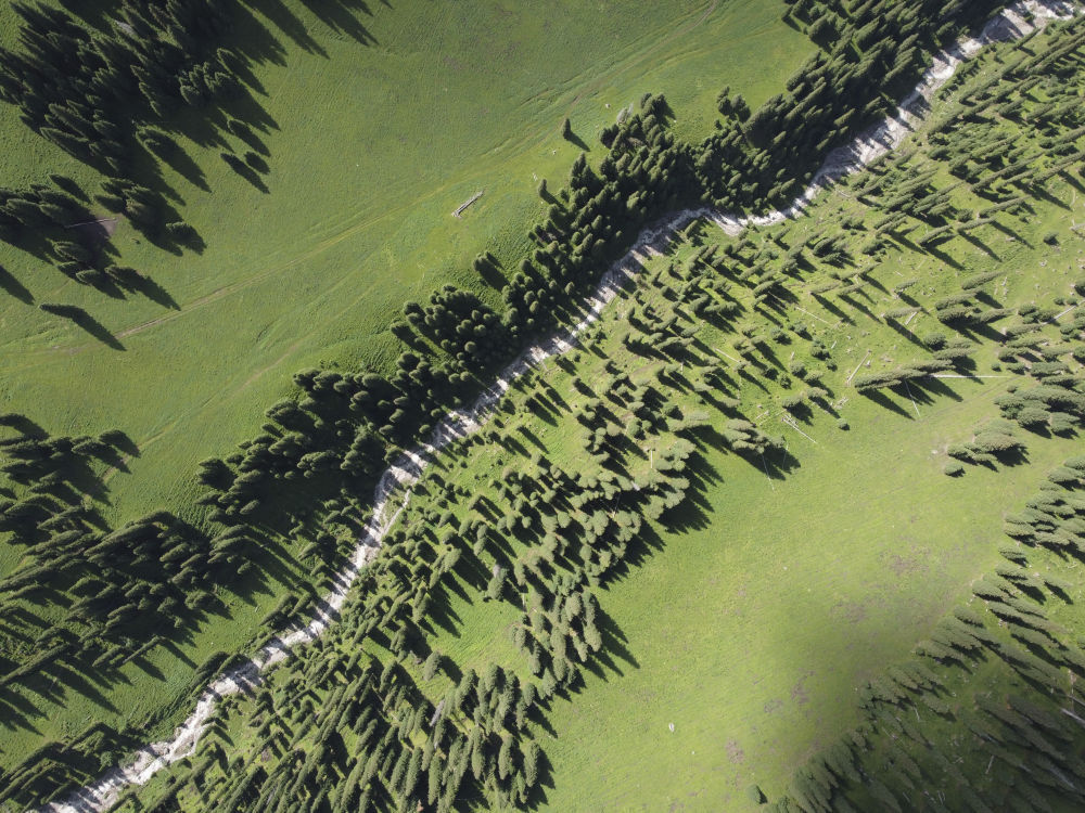 这是6月28日拍摄的那拉提旅游风景区景色（无人机照片）。