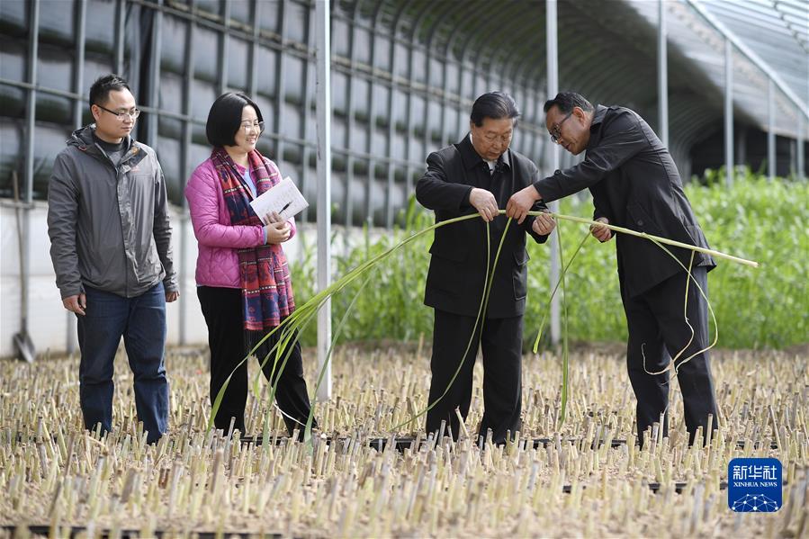 （新华全媒头条·图文互动）（6）习近平关心关怀劳动者的故事