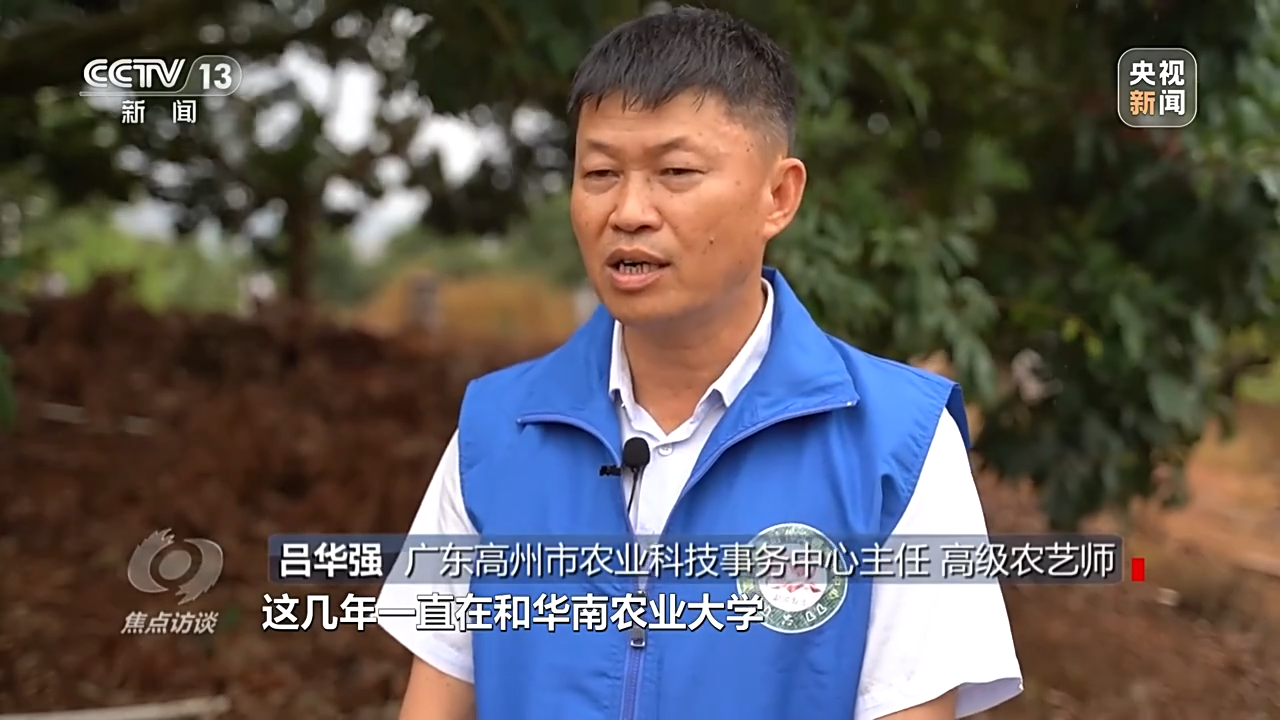 焦点访谈丨产业升级 实“荔”出圈——土特产 金招牌J9九游会 九游会J9(图4)
