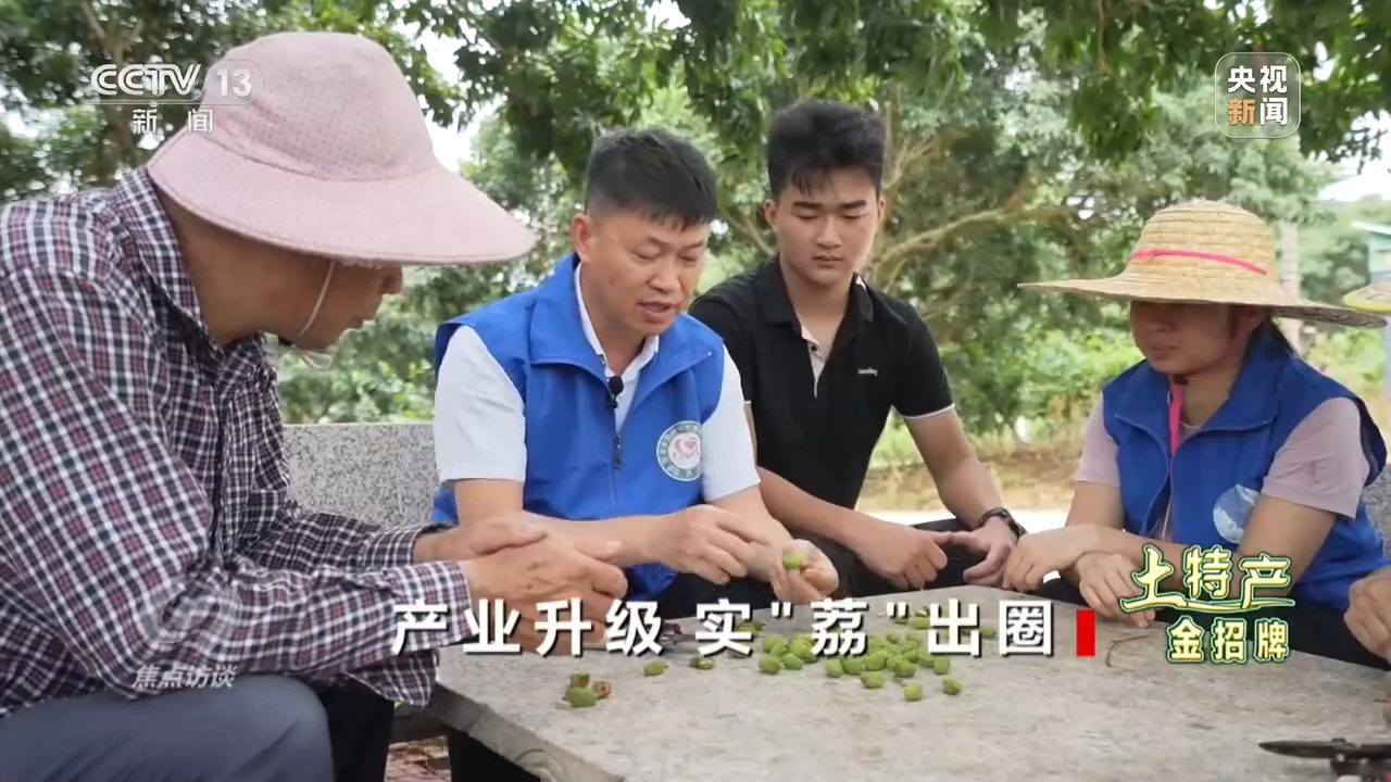 焦点访谈丨产业升级 实“荔”出圈——土特产 金招牌J9九游会 九游会J9(图2)