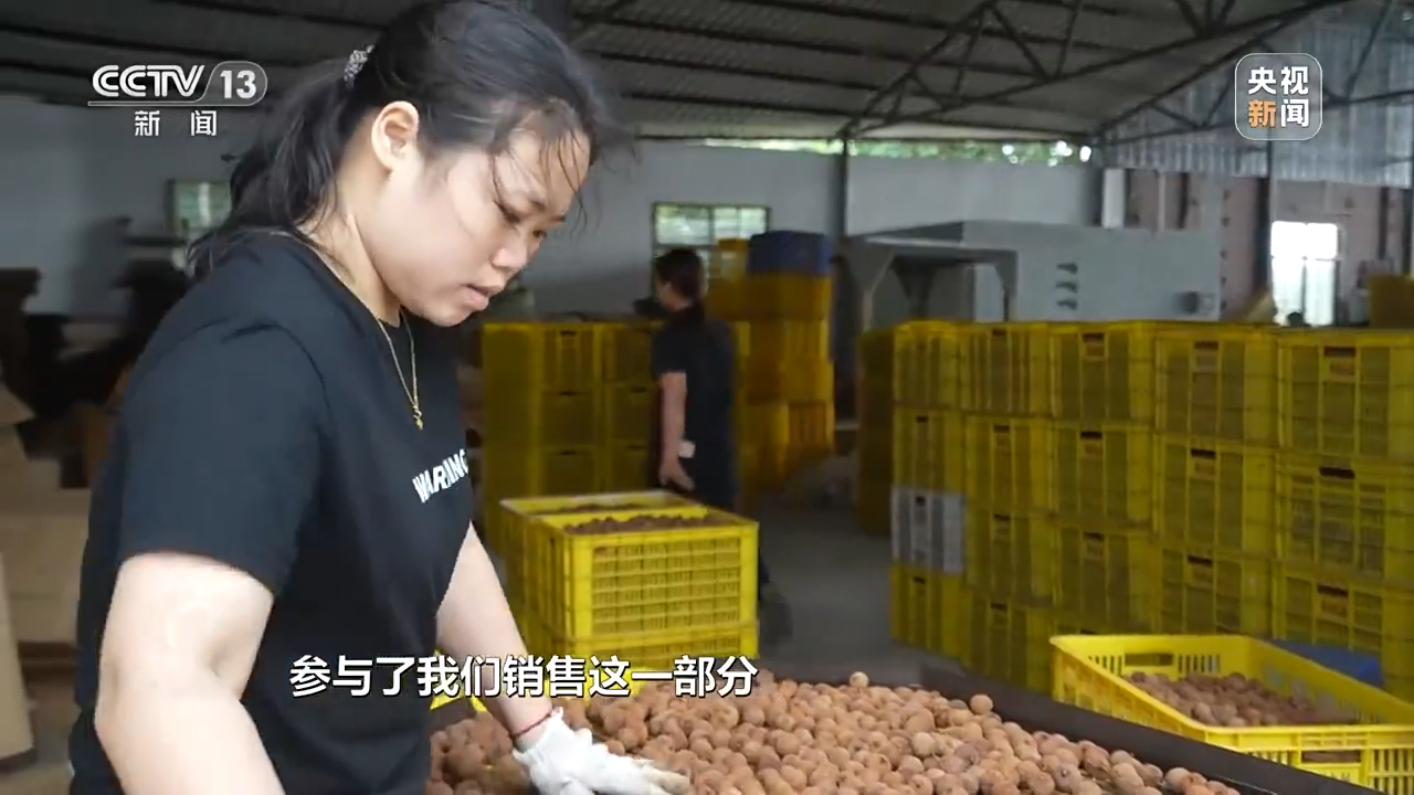 焦点访谈丨产业升级 实“荔”出圈——土特产 金招牌J9九游会 九游会J9(图8)