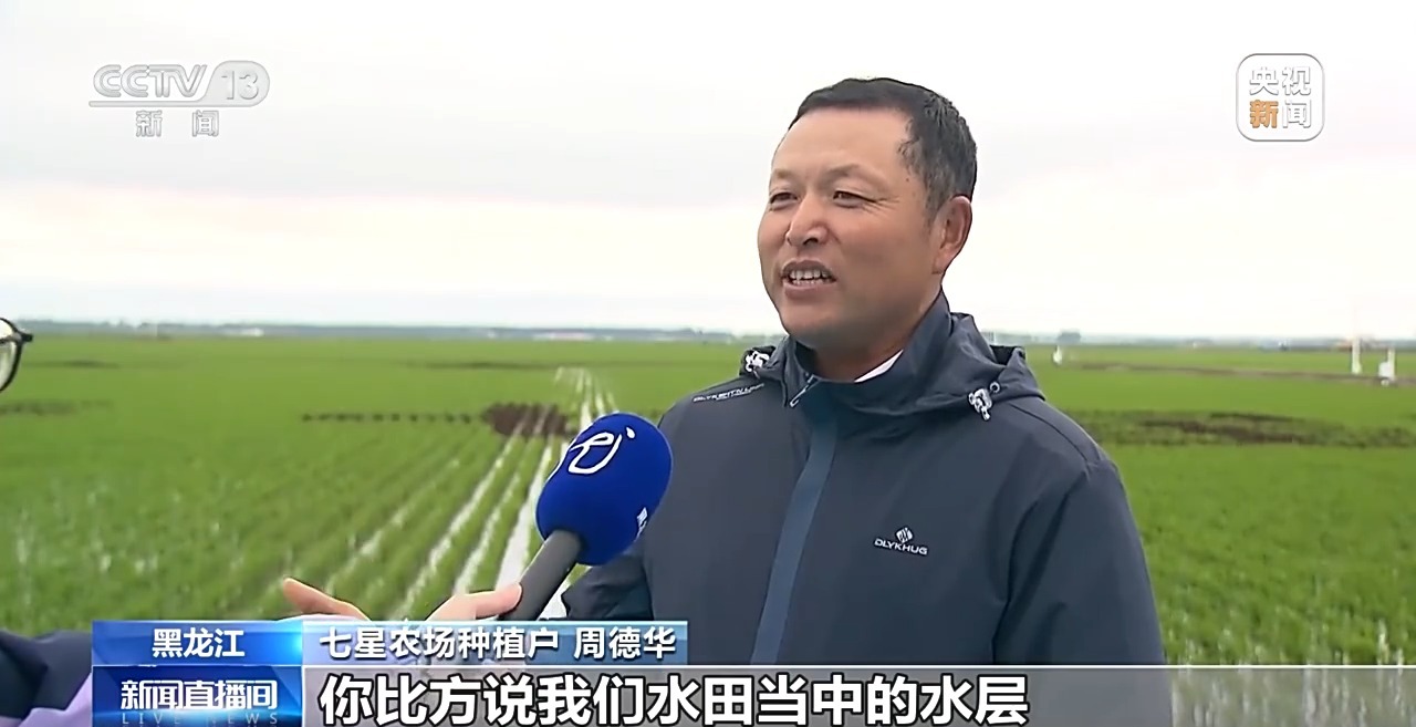 全国夏粮已收96.2% 夏播粮食已播83.1%图2