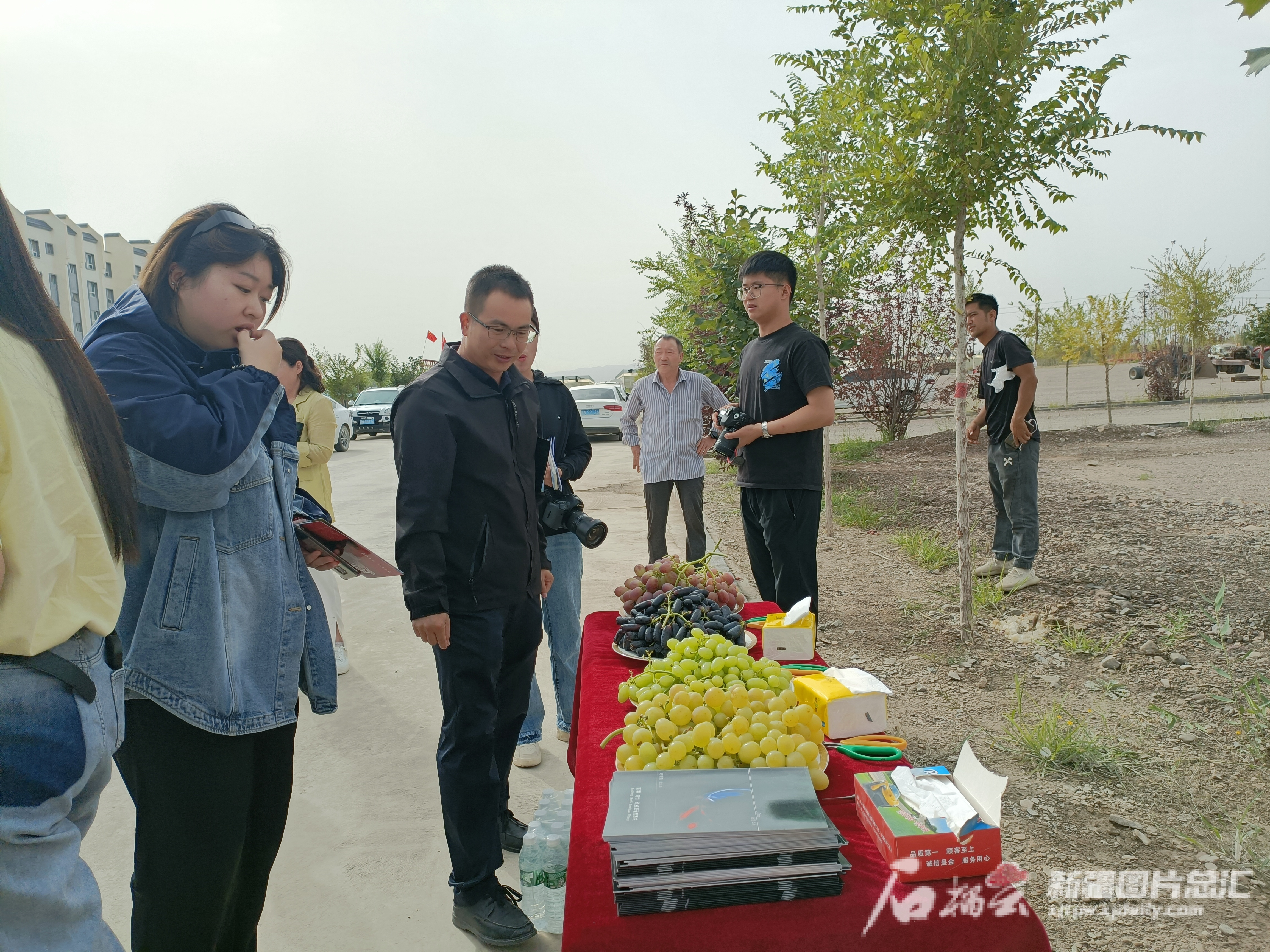 丰收节丨同心泛亚电竞绘“疆”来 “丰”景入画来(图4)