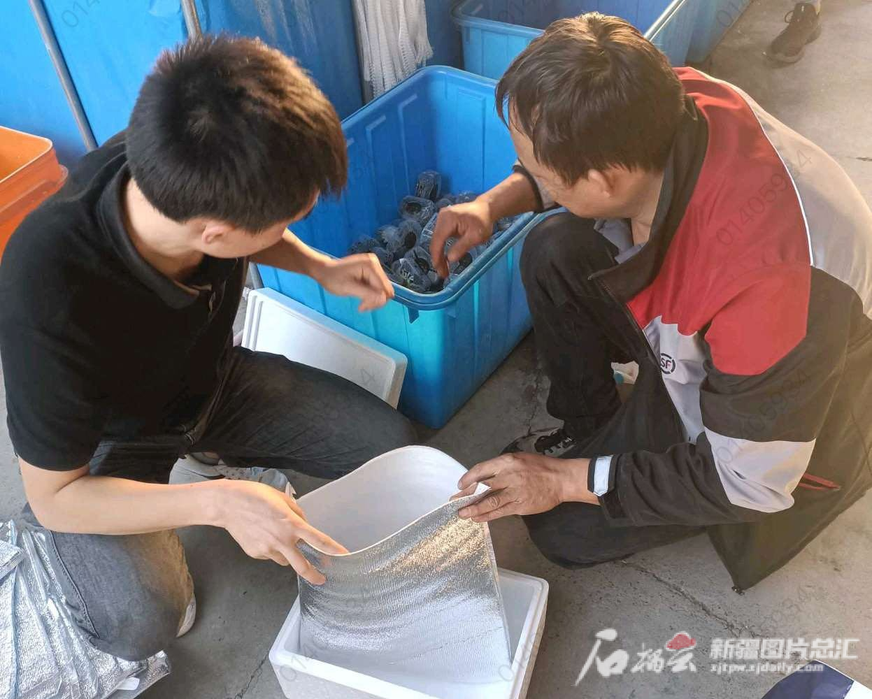 海鲜排行_印度ChingriMalaiCurry入选世界50大海鲜菜肴,排名第31(2)