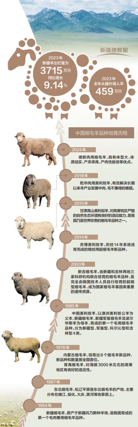 所有羊品种介绍及图片图片