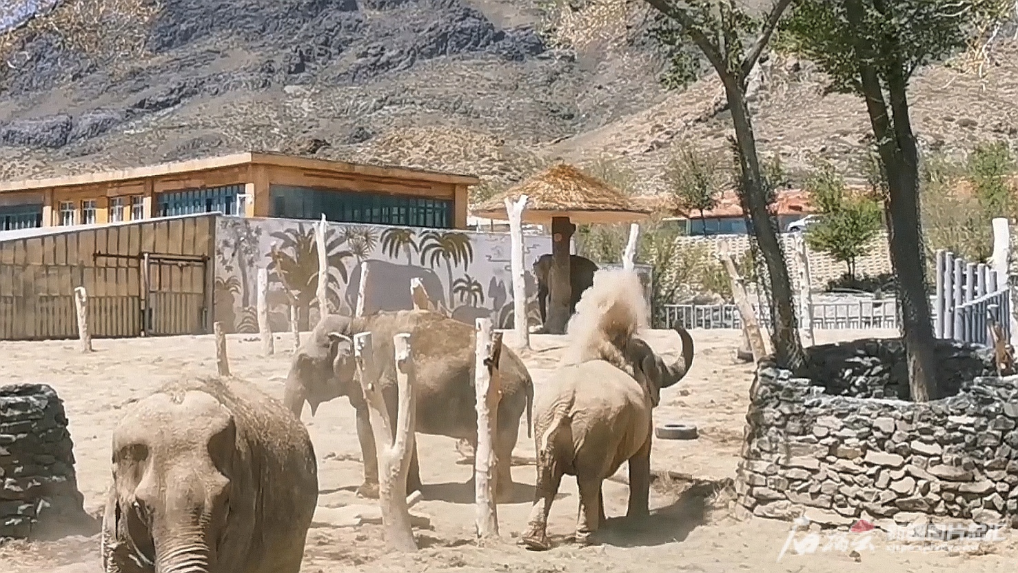 新疆天山野生动物园-新旅界Plus