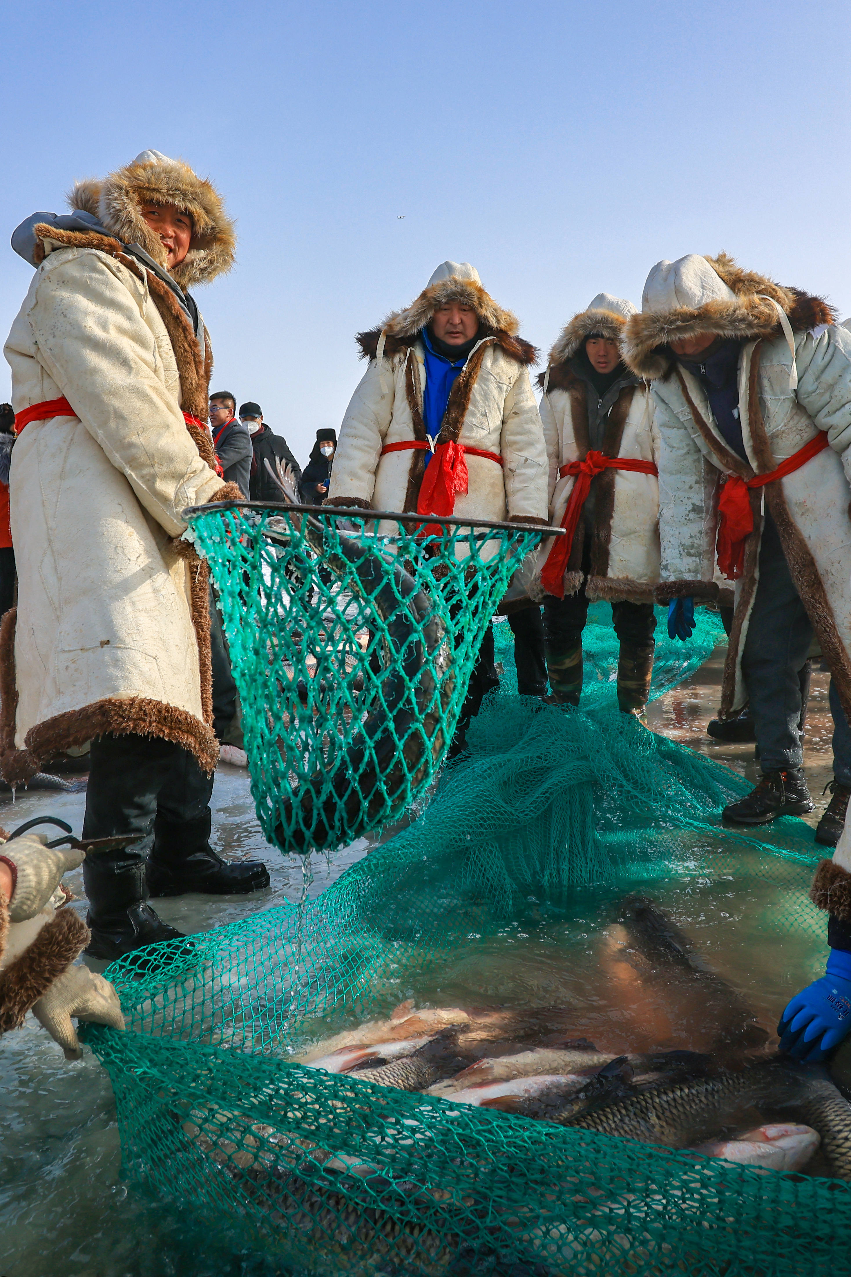探秘查干湖壮观冬捕 看渔队如何将一网60万斤大鱼从冰下捞上岸|查干湖|大鱼|渔工_新浪新闻