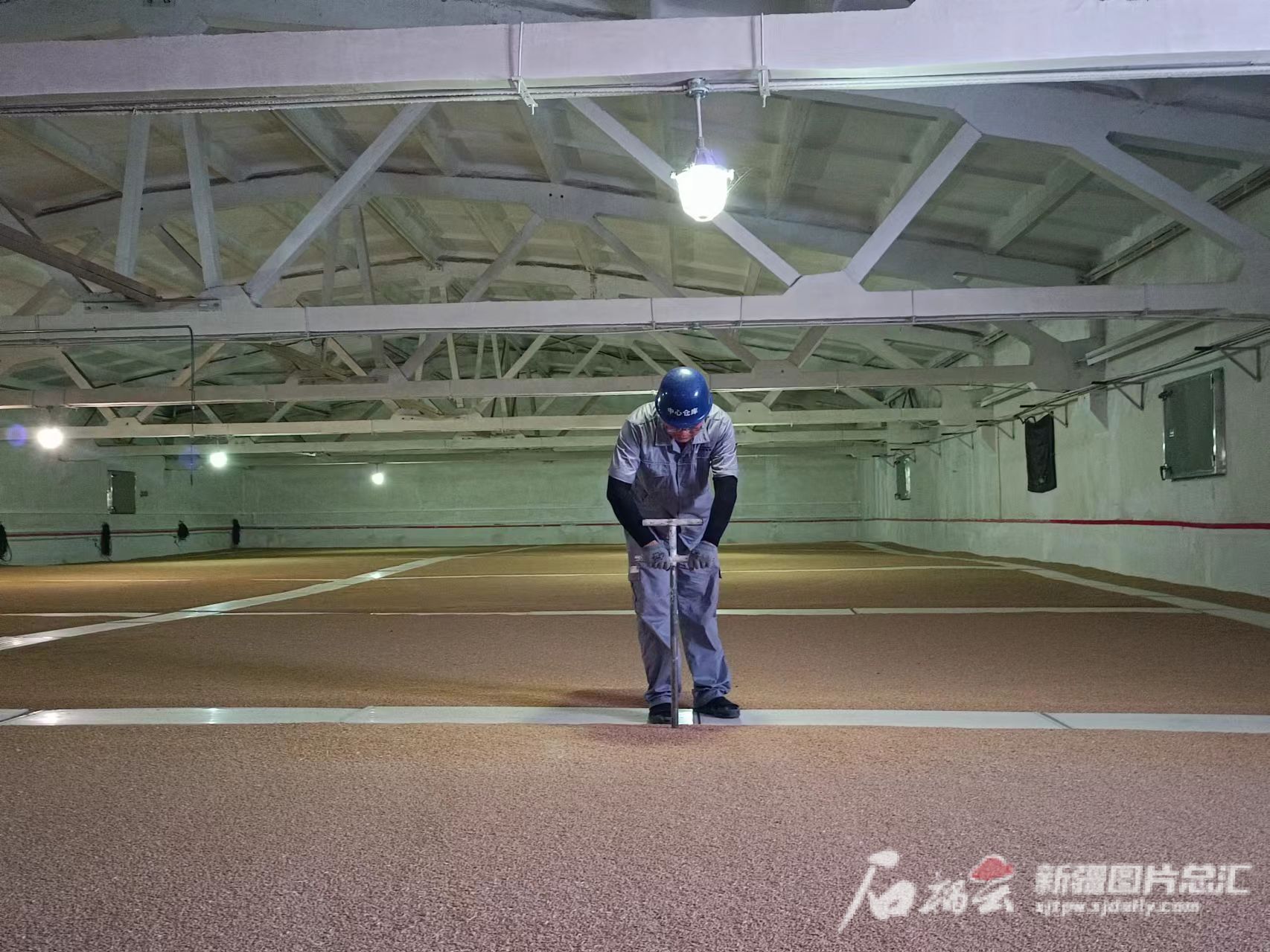 对口援疆持续提升新疆储粮条件和水平 新疆已建成粮食标准仓房仓容1392万吨AG九游会(图1)