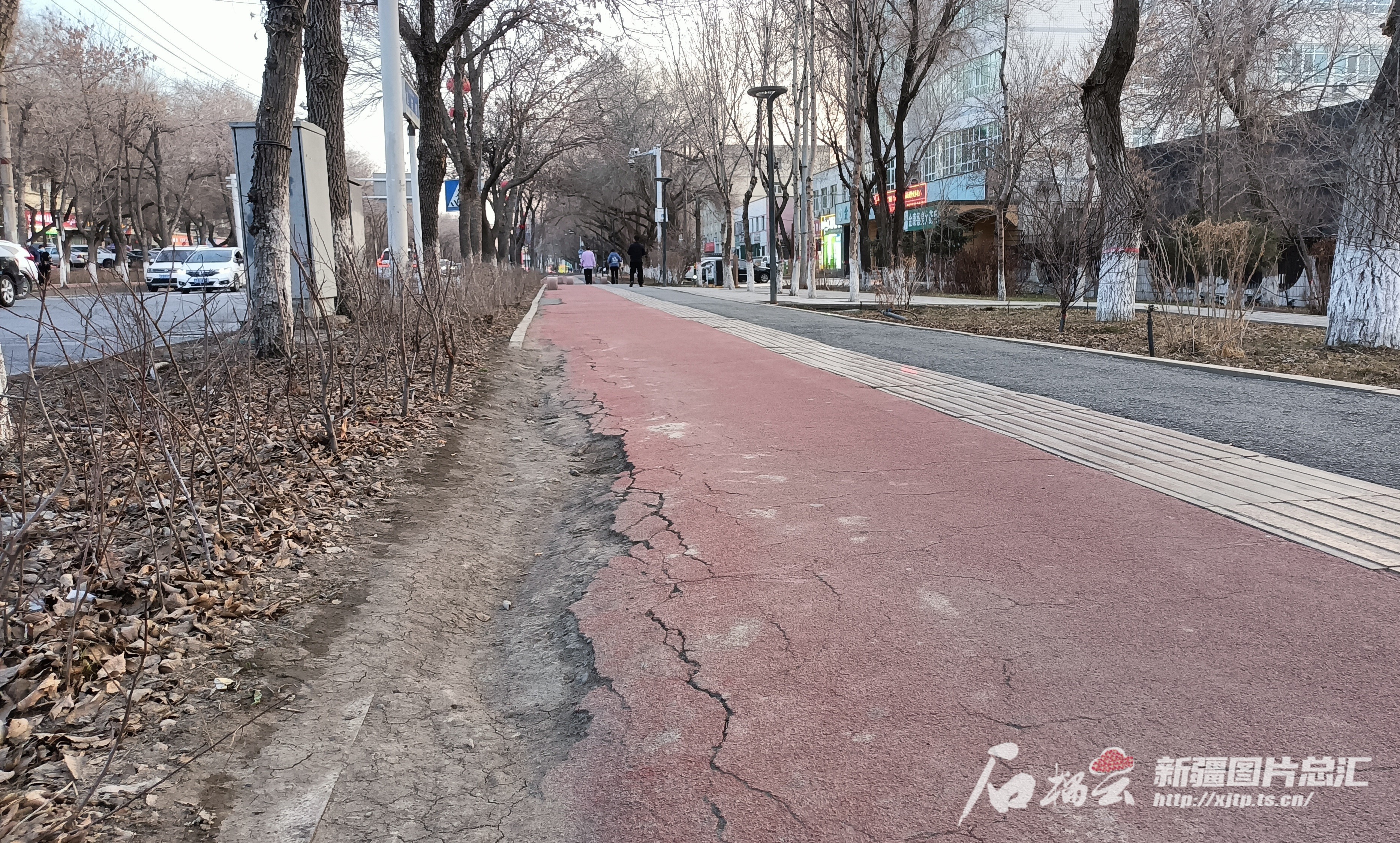 博鱼体育“开春了城市公共设施还好吗”系列报道⑥丨慢行步道成了“大花脸” 何时恢复(图1)