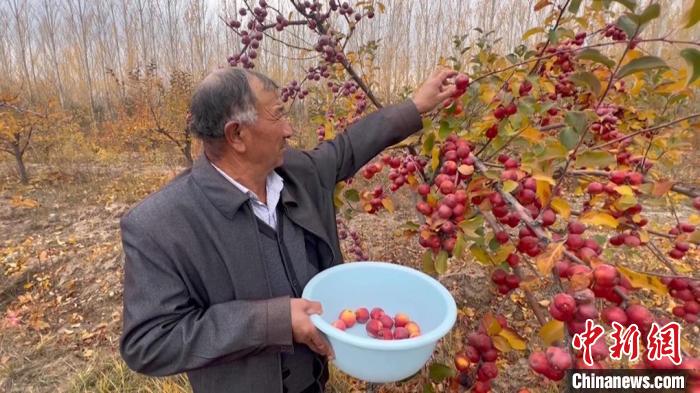 新疆塔西河谷生态修复产业兴村民鼓起钱袋子