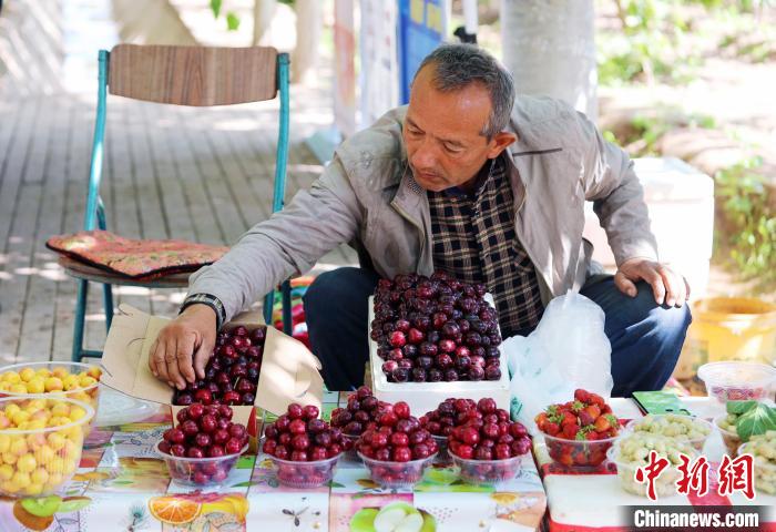 图为一名喀什市樱桃种植户售卖采摘新鲜的樱桃。　热衣丁 摄