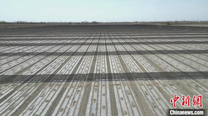 新疆巴州尉犁县的百万亩棉田里，棉花春播工作也正在有条不紊的进行当中。(汪志鹏 摄)