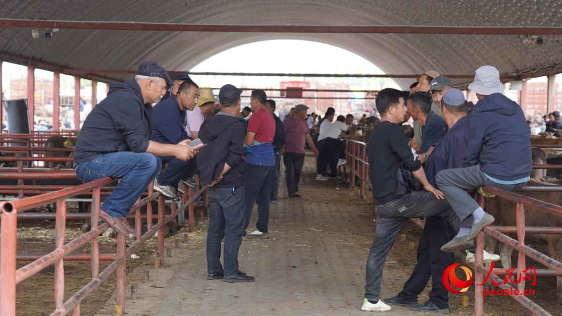 黄公巴扎的活畜交易区。人民网 李龙摄
