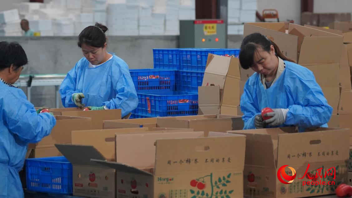 工人正在分拣、装箱。人民网 李龙摄