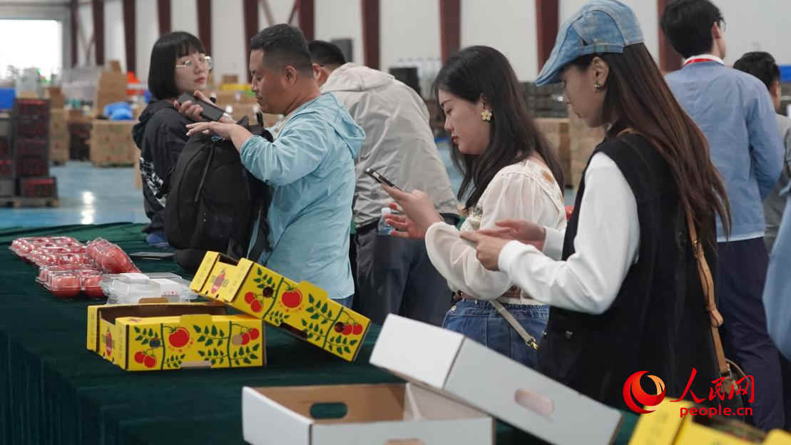参加活动的正能量网络名人代表正在拍摄展示的番茄产品。人民网 李龙摄