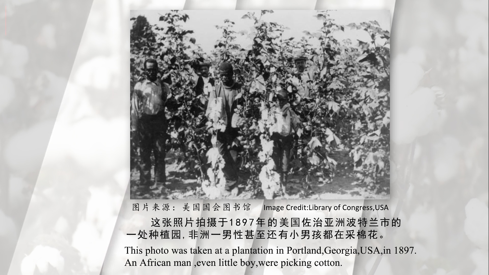 第三张